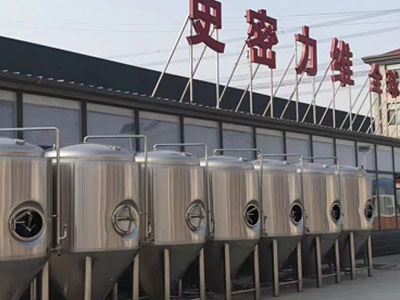同德精酿啤酒设备厂—市场规模与跨界新需求
